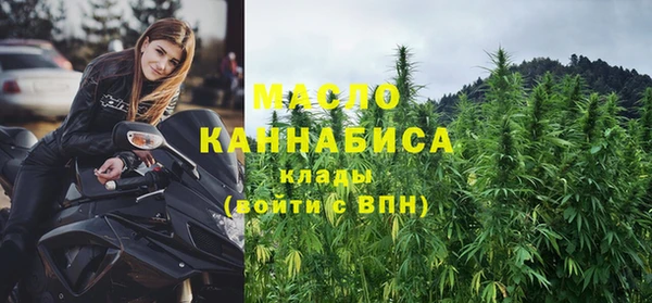 прущие крисы Горняк