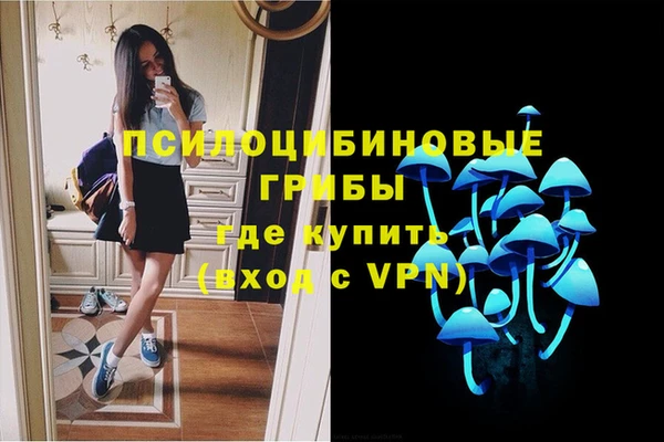 прущие крисы Горняк