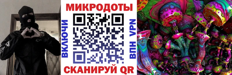 KRAKEN   Солигалич  Галлюциногенные грибы Psilocybine cubensis 